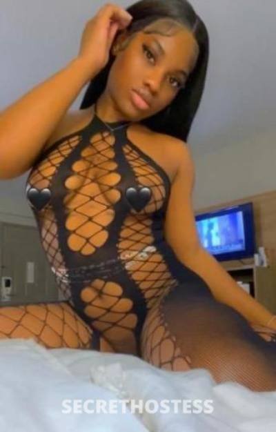 KITTYKAT 22Yrs Old Escort Albuquerque NM Image - 2