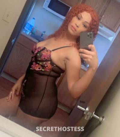 Lala 31Yrs Old Escort Phoenix AZ Image - 0