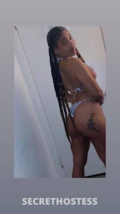 Lele 24Yrs Old Escort Monterey CA Image - 1