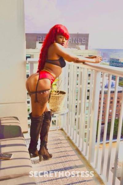 MistressLuna 25Yrs Old Escort Panama City FL Image - 0