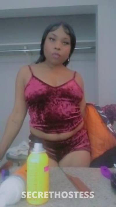 Poka 27Yrs Old Escort Los Angeles CA Image - 0