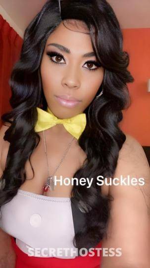 HONEYSUCKLES 34Yrs Old Escort Fort Lauderdale FL Image - 1