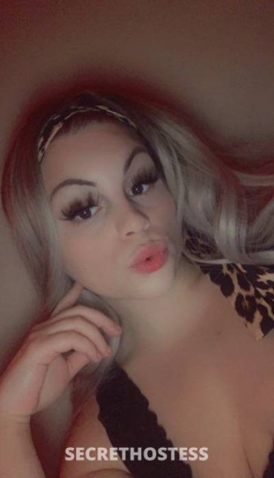 25Yrs Old Escort 167CM Tall St. Louis MO Image - 1