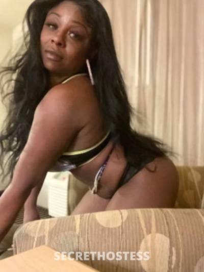 Chocolate 30Yrs Old Escort San Jose CA Image - 2