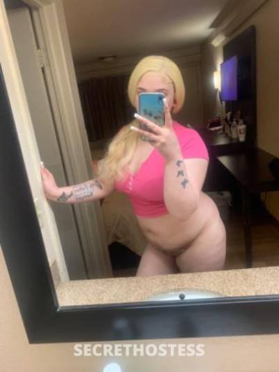 Cinnamon 19Yrs Old Escort 167CM Tall Chicago IL Image - 2