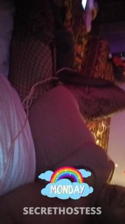 Coco 23Yrs Old Escort Allentown PA Image - 1