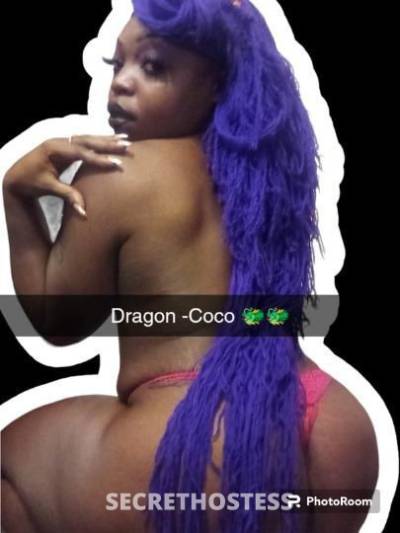 Coco 28Yrs Old Escort Albuquerque NM Image - 0