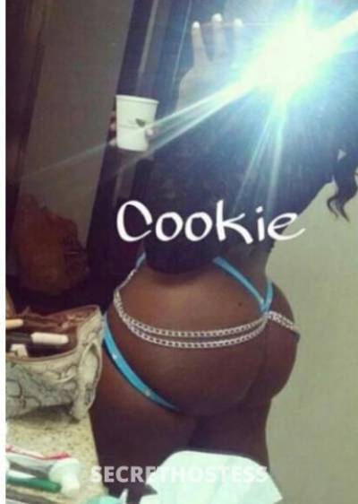 Cookie 28Yrs Old Escort San Jose CA Image - 1