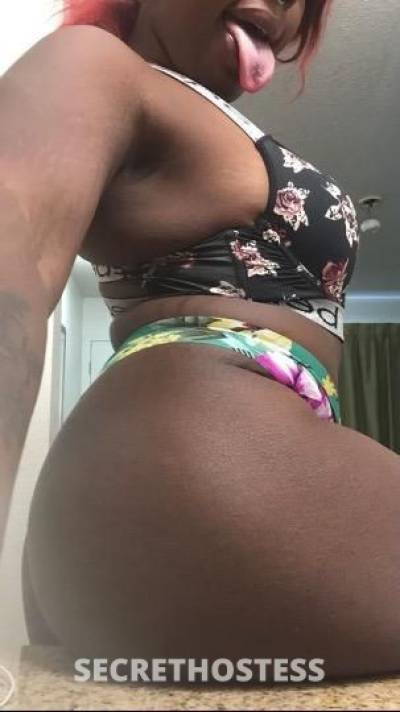 Creamysins 23Yrs Old Escort Washington DC Image - 2