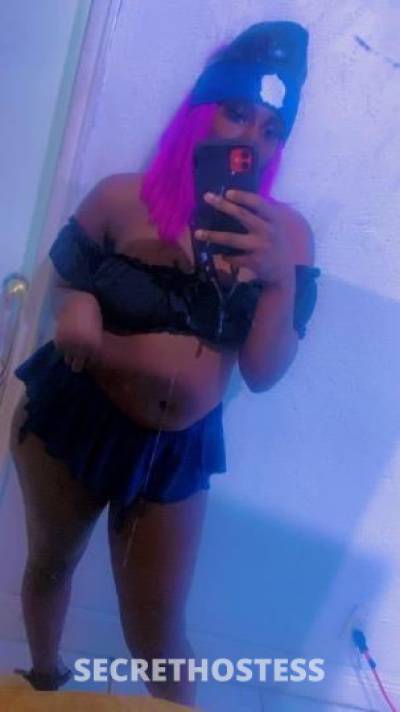 Dream/Bella 26Yrs Old Escort Miami FL Image - 1