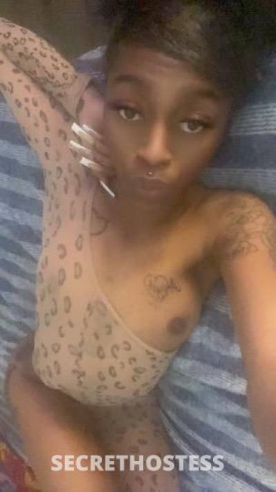 21 year old Dutch Escort in Birmingham AL Yall texas baddie is back