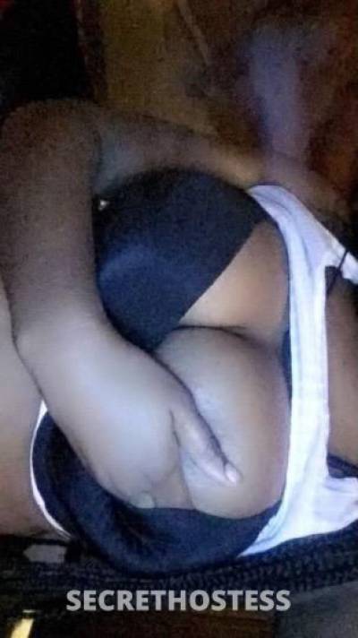 Emily 24Yrs Old Escort San Mateo CA Image - 2