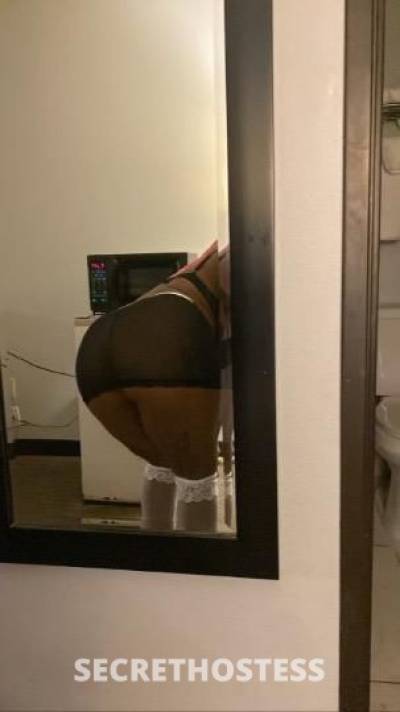 HONEY🍯 23Yrs Old Escort Jonesboro AR Image - 0