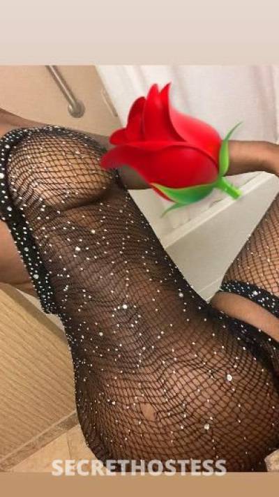 Harmony 18Yrs Old Escort Chesapeake VA Image - 2