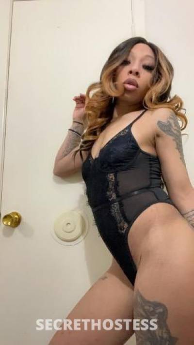 25 year old Escort in Wichita Falls TX hawaiian treat