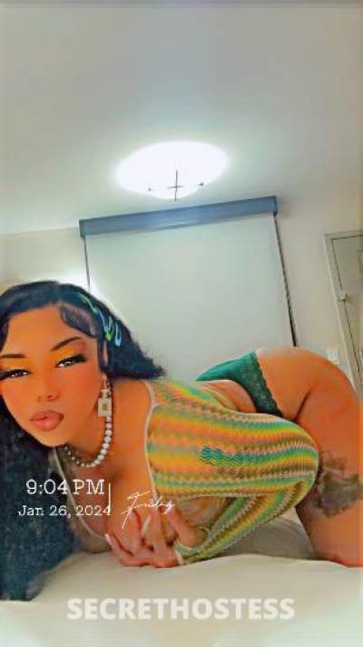 Kaycetheheaddoc 28Yrs Old Escort Concord CA Image - 0