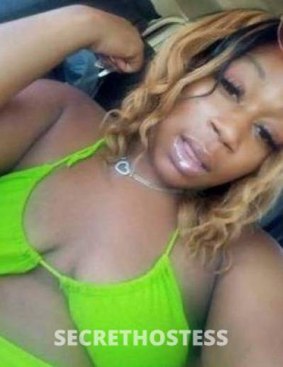 Levah 25Yrs Old Escort Oakland CA Image - 1