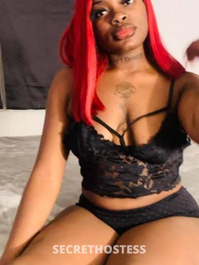 Naomi 24Yrs Old Escort Treasure Coast FL Image - 1