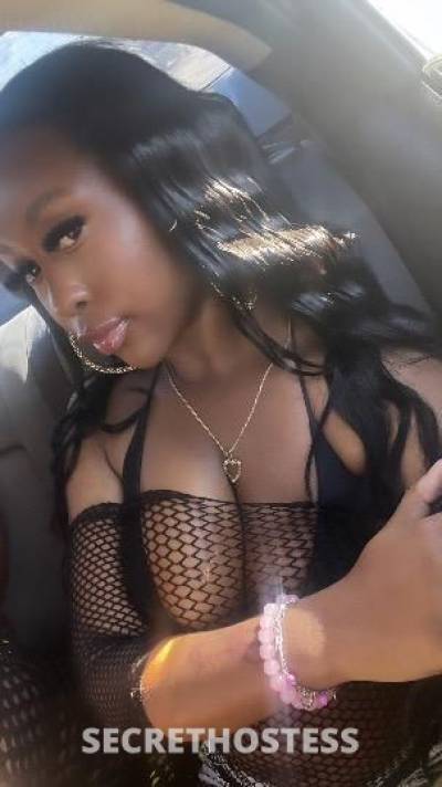 Sapphire 19Yrs Old Escort Long Beach CA Image - 0