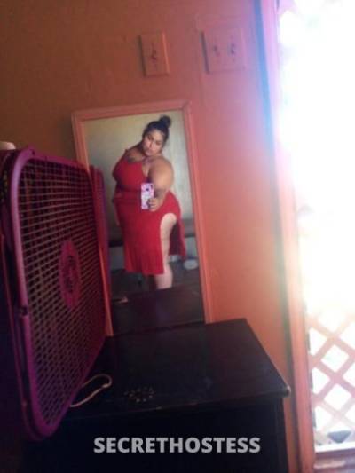 Shygirl 33Yrs Old Escort Corpus Christi TX Image - 1