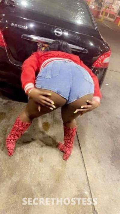 20Yrs Old Escort North Mississippi MS Image - 1