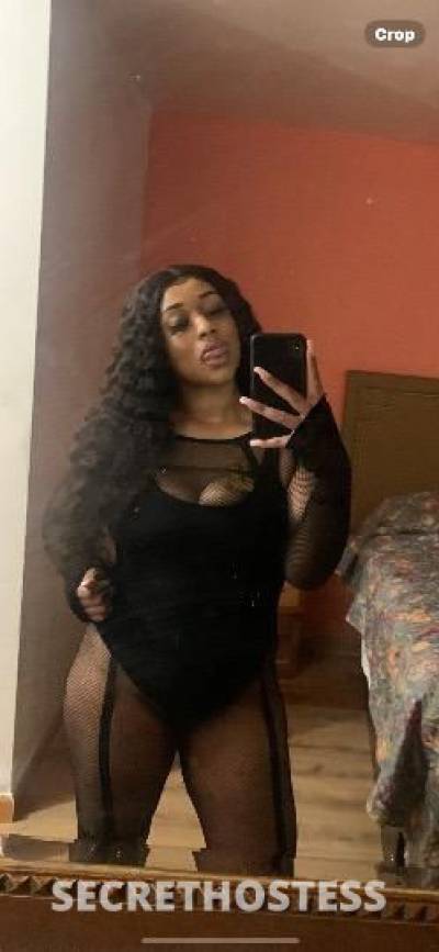 23Yrs Old Escort New Orleans LA Image - 2