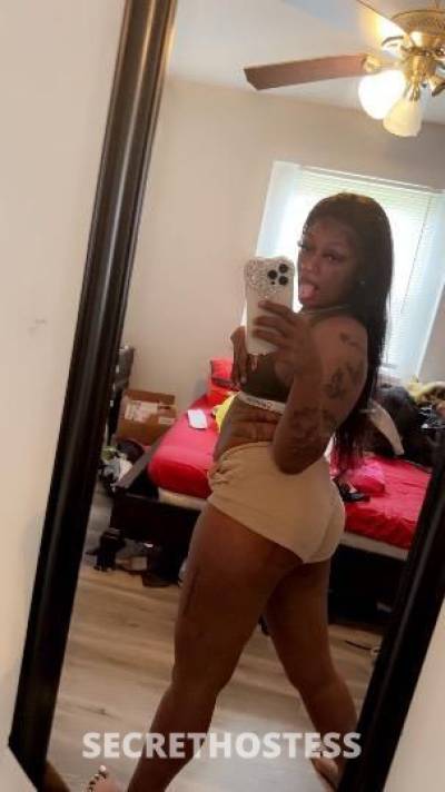 23Yrs Old Escort Raleigh NC Image - 0