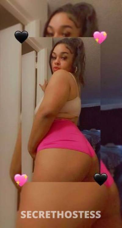 24Yrs Old Escort Tampa FL Image - 2