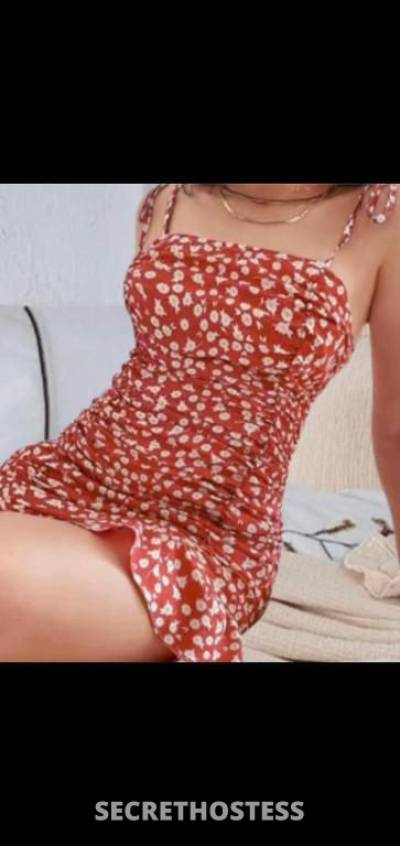 27Yrs Old Escort Size 12 Geelong Image - 1