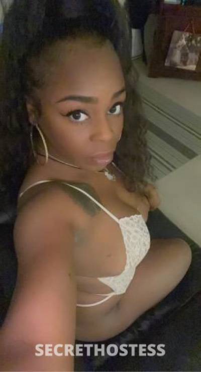 27Yrs Old Escort Albany NY Image - 1