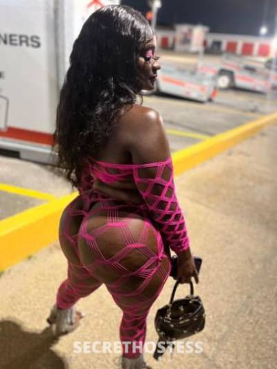 27Yrs Old Escort Raleigh NC Image - 3