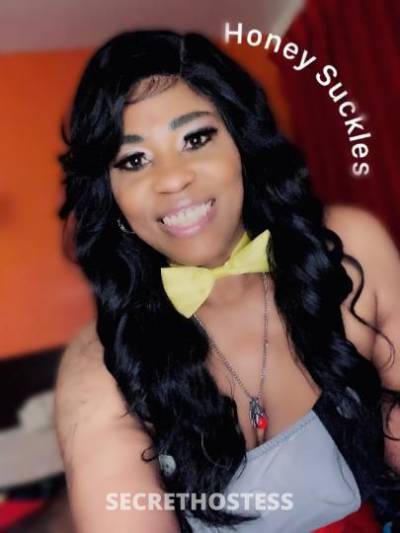 34Yrs Old Escort Fort Lauderdale FL Image - 3