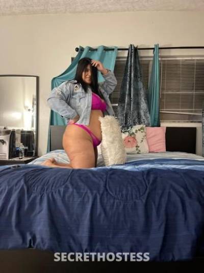 Amanda 25Yrs Old Escort Tampa FL Image - 2