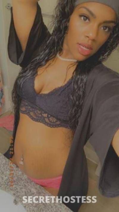 Amber 25Yrs Old Escort Dayton OH Image - 2