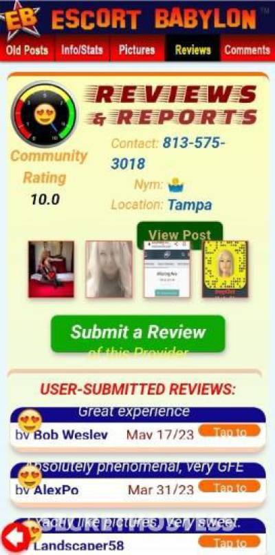 New Number Your Fave Companion Never Disappoint In Out North in Tampa FL