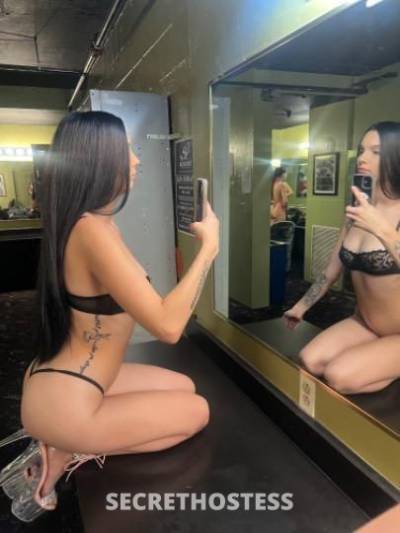 Bree 21Yrs Old Escort Phoenix AZ Image - 2