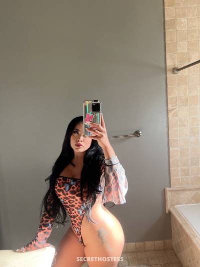 24 Year Old Caucasian Escort Dallas TX - Image 3