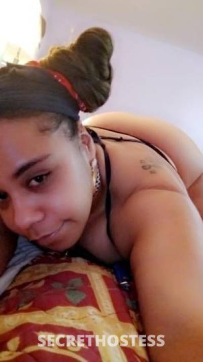 Coco 23Yrs Old Escort Allentown PA Image - 1