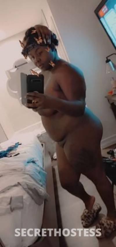 Cupcake🧁 27Yrs Old Escort Pensacola FL Image - 0