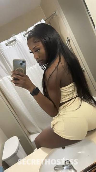 .% REAL AND AVAILABLE NOW.!!! Slim Petite Chocolate Spinner in Northern Virginia DC