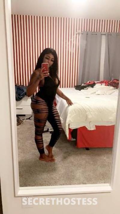 Genesis 24Yrs Old Escort Detroit MI Image - 2