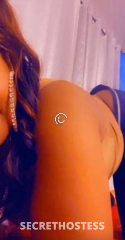 Honey 28Yrs Old Escort Binghamton NY Image - 1