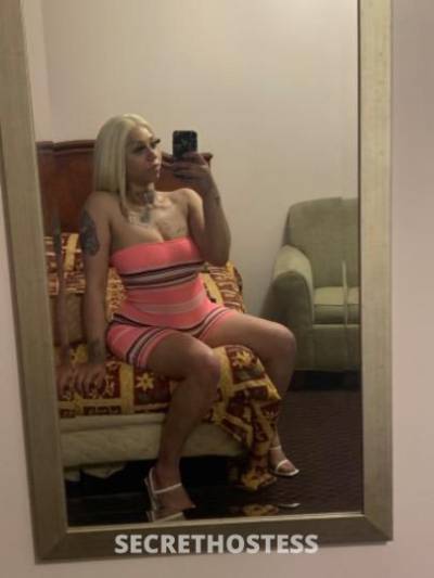 JaneDough💲 26Yrs Old Escort Indianapolis IN Image - 2