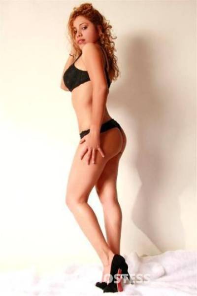 Marcela 27Yrs Old Escort Miami FL Image - 1