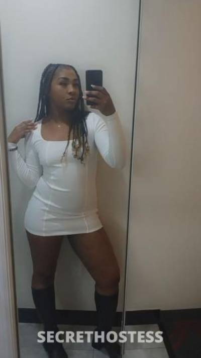 Mocha 24Yrs Old Escort Lexington KY Image - 0