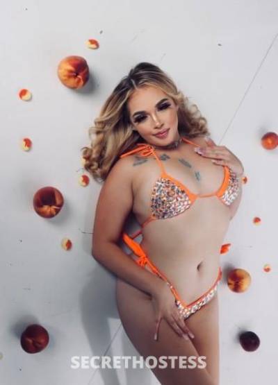 Peaches 21Yrs Old Escort Los Angeles CA Image - 1