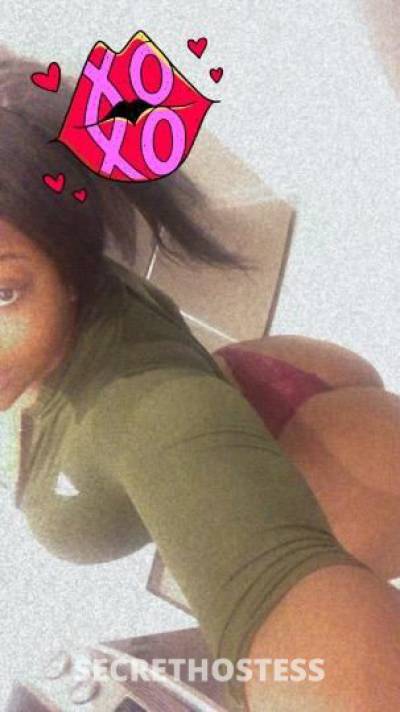 Rose 22Yrs Old Escort Miami FL Image - 1