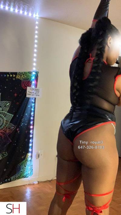 Royal 23Yrs Old Escort Size 6 Toronto Image - 3