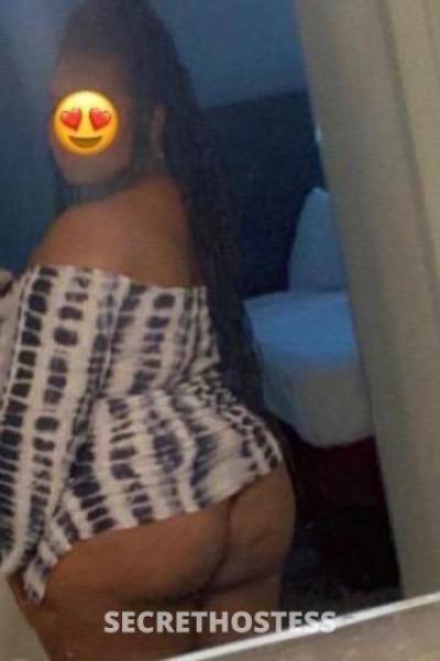 Stoney 25Yrs Old Escort Tampa FL Image - 2