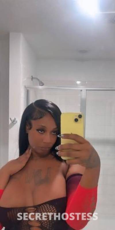 Taylor 23Yrs Old Escort Bakersfield CA Image - 1